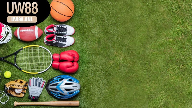 So Sánh Các Nền Tảng Cược Thể Thao Đáng Tin Cậy