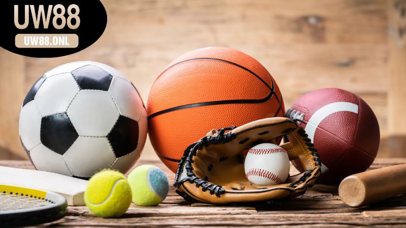 Các Tiêu Chí Lựa Chọn Dịch Vụ Cá Cược Tại UW88