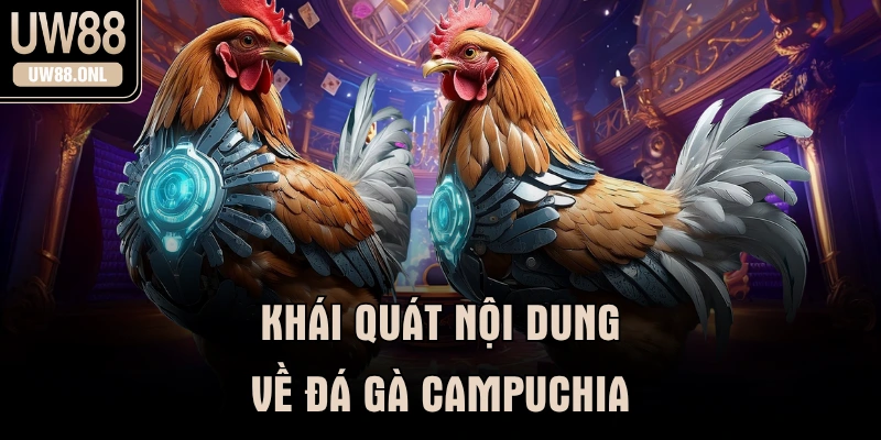 Khái quát nội dung về đá gà campuchia