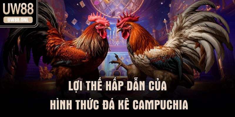 Lợi thế hấp dẫn của hình thức đá kê campuchia
