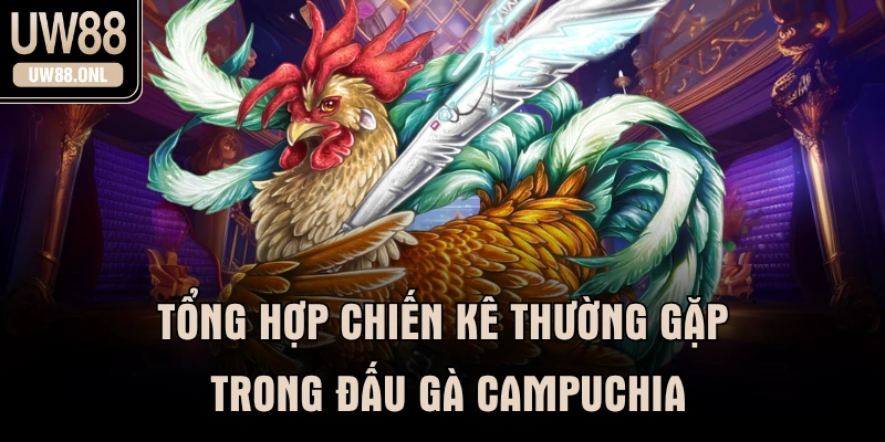 Tổng hợp chiến kê thường gặp trong đấu gà campuchia